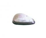 ISUZU JAC 808  TOP LAMP